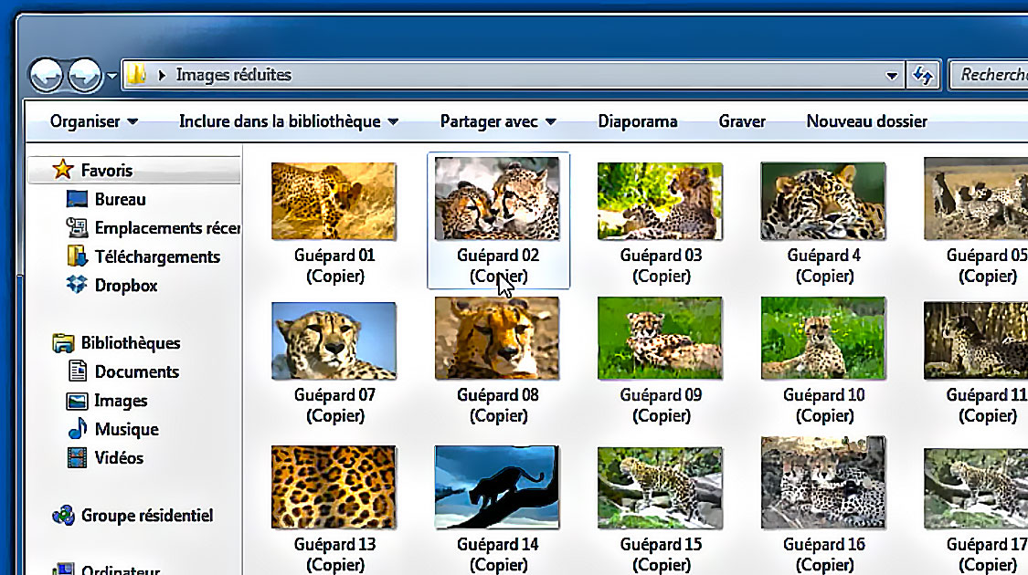 Faststone Image Viewer