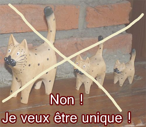 Être unique et ne pas suivre le troupeau