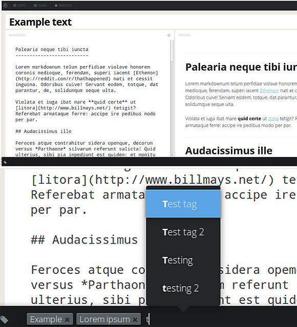 Screenshot WordPress avec Gust