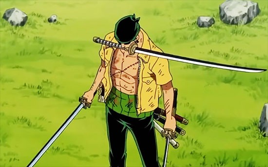 ZORO - COMPAGNON LUFFY - One Piece