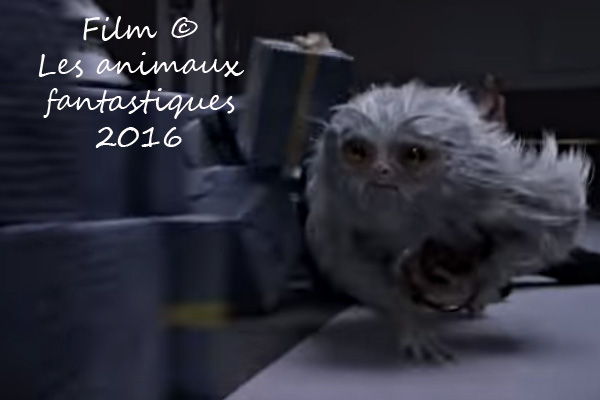 Film Les animaux fantastiques 2016
