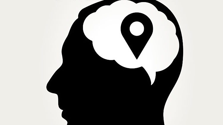 cerveau humain et comportement