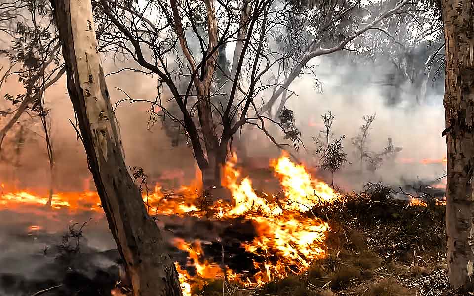 incendies janvier 2020 australie