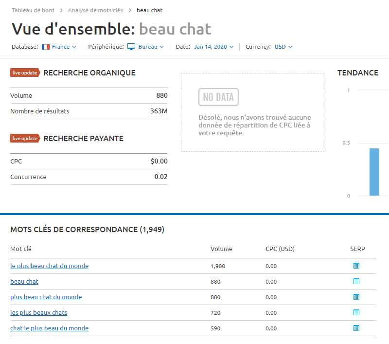 Semrush : mot-clé "beau chat"