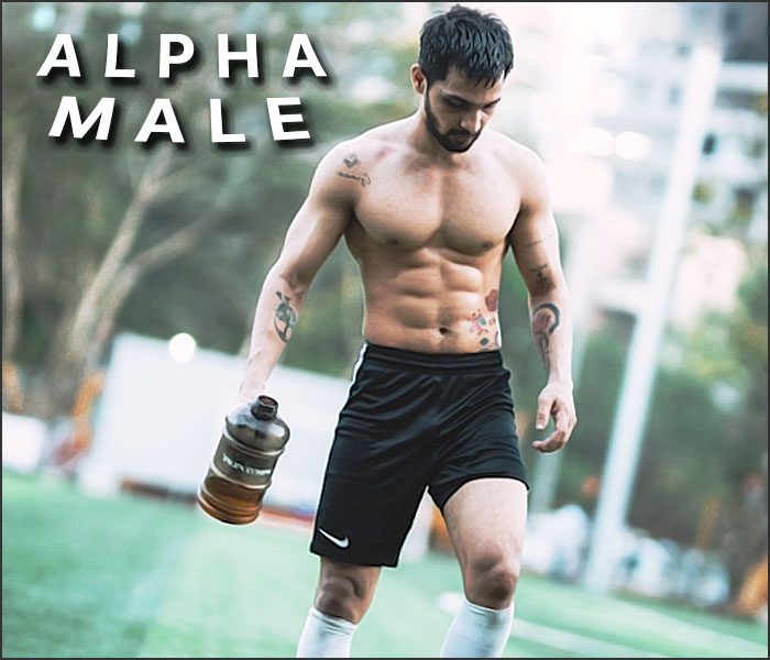 être un alpha male