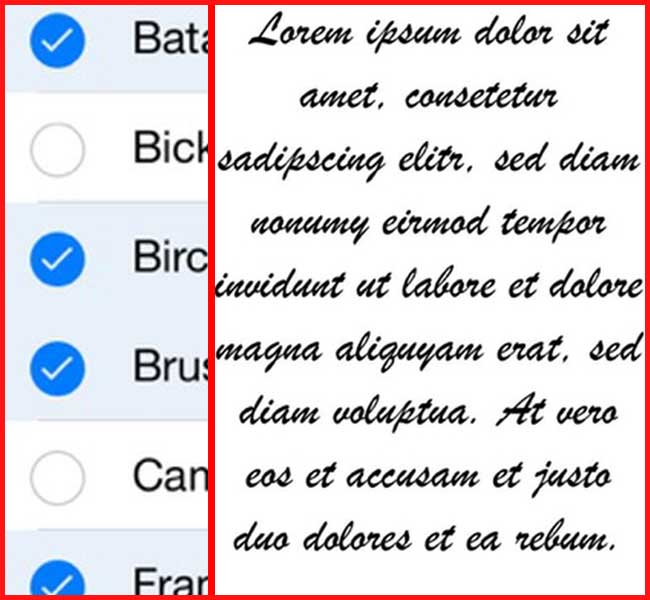 Application AnyFont