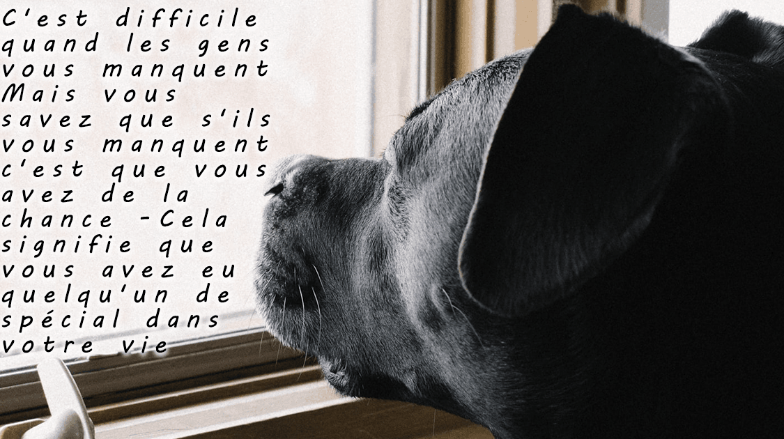 C'est difficile quand les gens vous manquent. Mais vous savez que s'ils vous manquent, c'est que vous avez de la chance. Cela signifie que vous avez eu quelqu'un de spécial dans votre vie, quelqu'un qui vaut la peine de vous manquer.