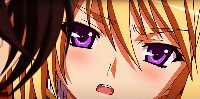 Les défauts de Princess Lover (l'anime)
