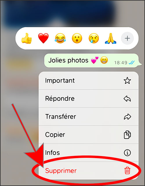 comment supprimer une discussion dans un groupe whatsapp