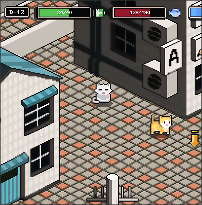 A Street Cat's Tale
