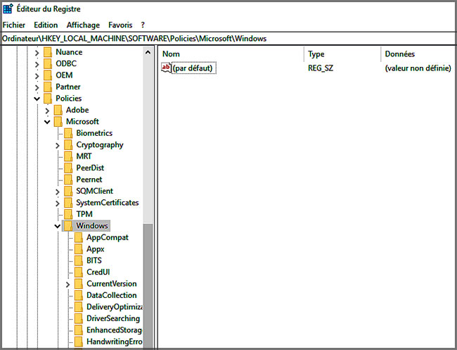 HKEY_LOCAL_MACHINE\SOFTWARE\Policies\Microsoft\Windows