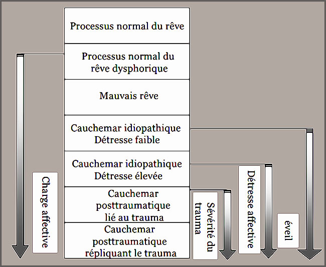 Le processus du rêve au cauchemar traumatique