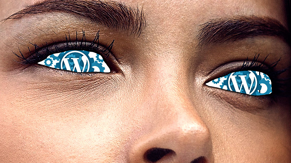 sauvegarde wordpress