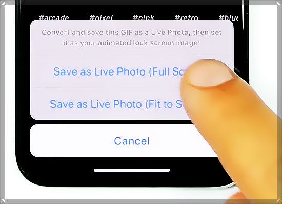 Enregistrer une image GIF en tant que Live Photo
