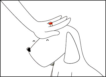 Gentillesse une main carresse un chien