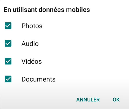 whatsapp : cocher la rubrique "audio" pour que les messages audios soient également enregistrés dans votre téléphone