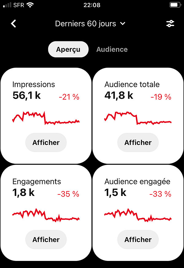 Exemple de statistiques sur Pinterest (compte Business)