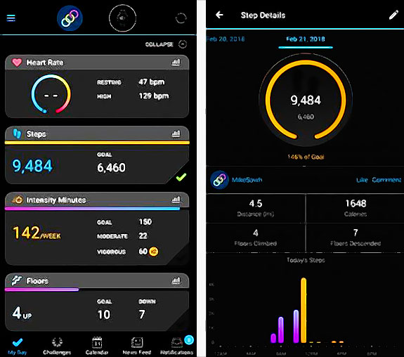 My Day Garmin Connect