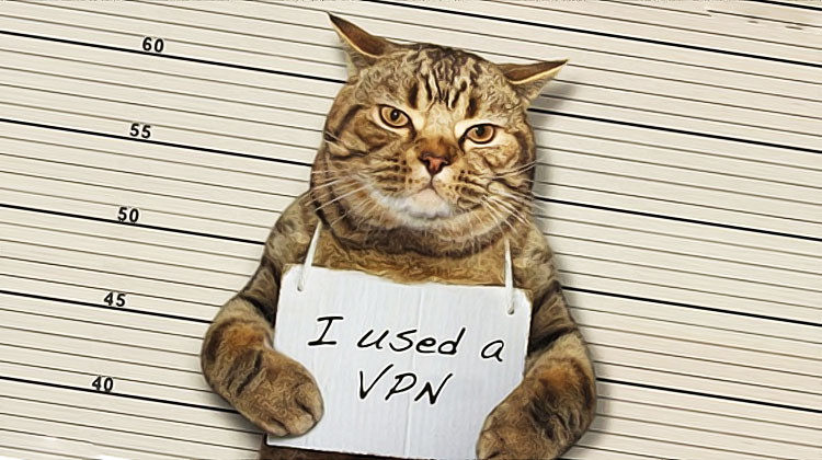 chat en prison pour avoir utilise un vpn