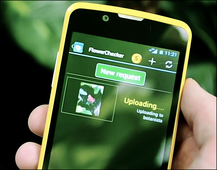 FlowerChecker