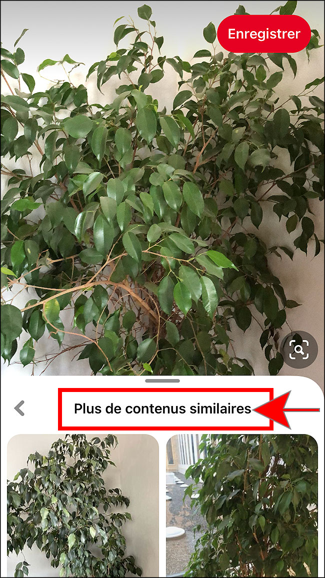 contenus similaires sur pinterest
