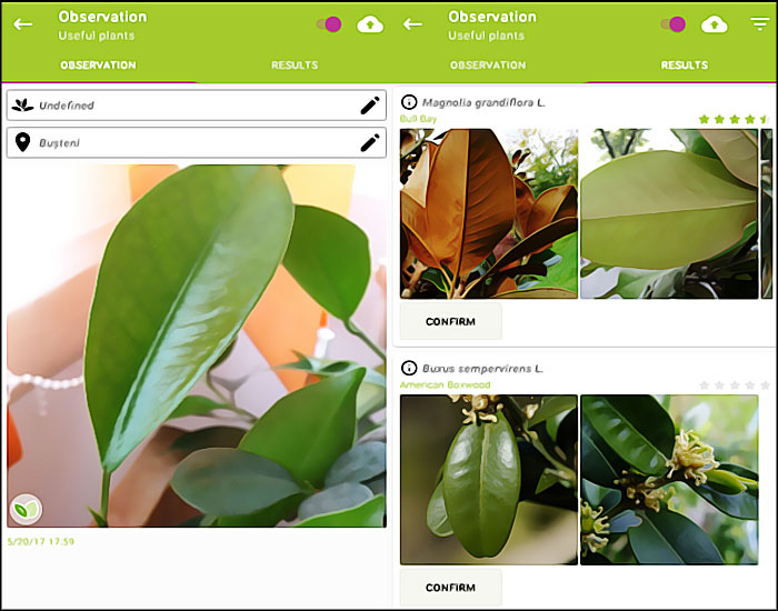 plantnet screenshot