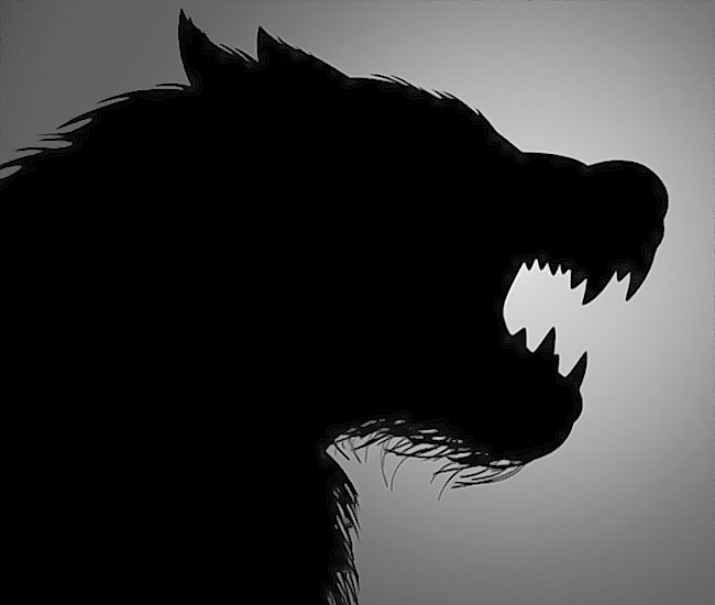 un monstre se cache derriere ma femme