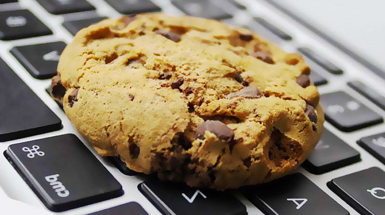 les cookies selon la cnil