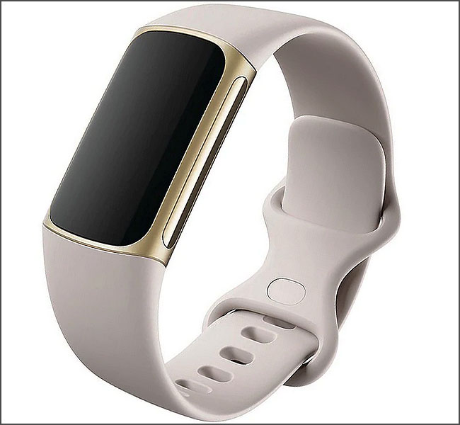 Montre connectée Fitbit Charge 5