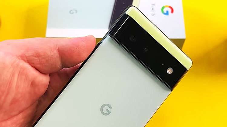 Dos du Pixel 6 de google