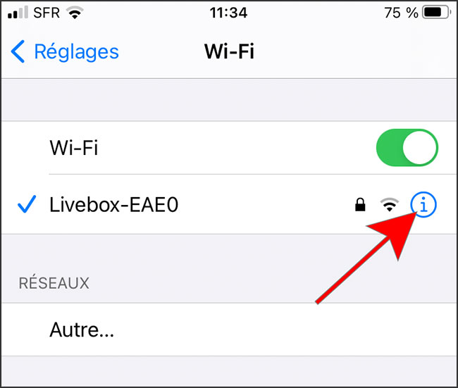 obtenir adresse ip sur un iphone