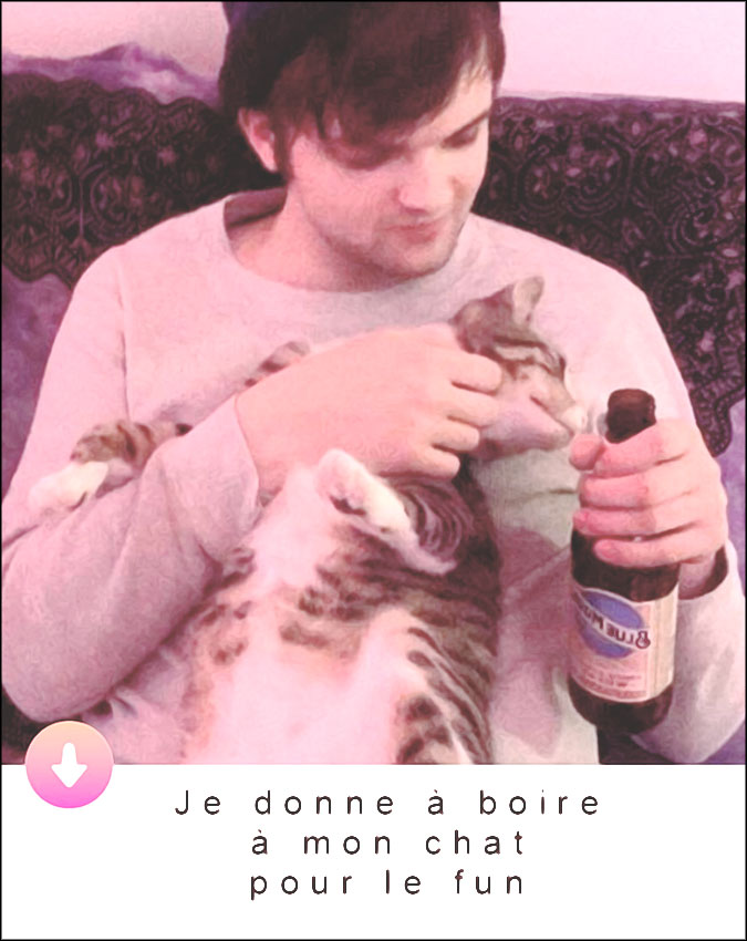 je donne a boire a mon chat pour le fun