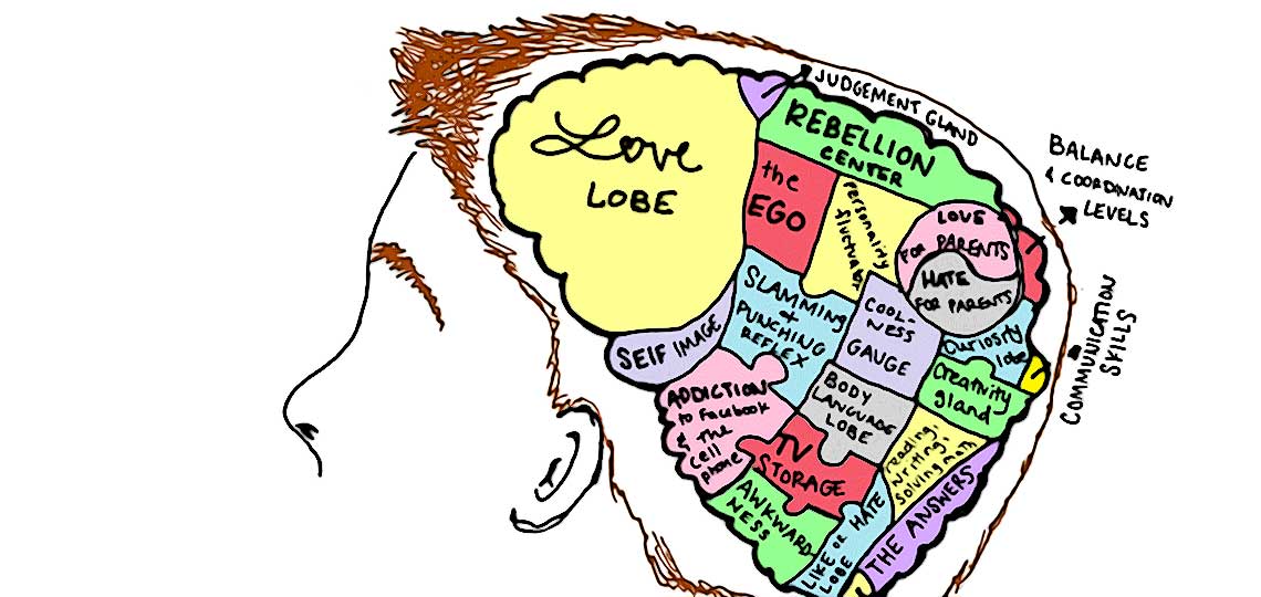 cerveau adolescent