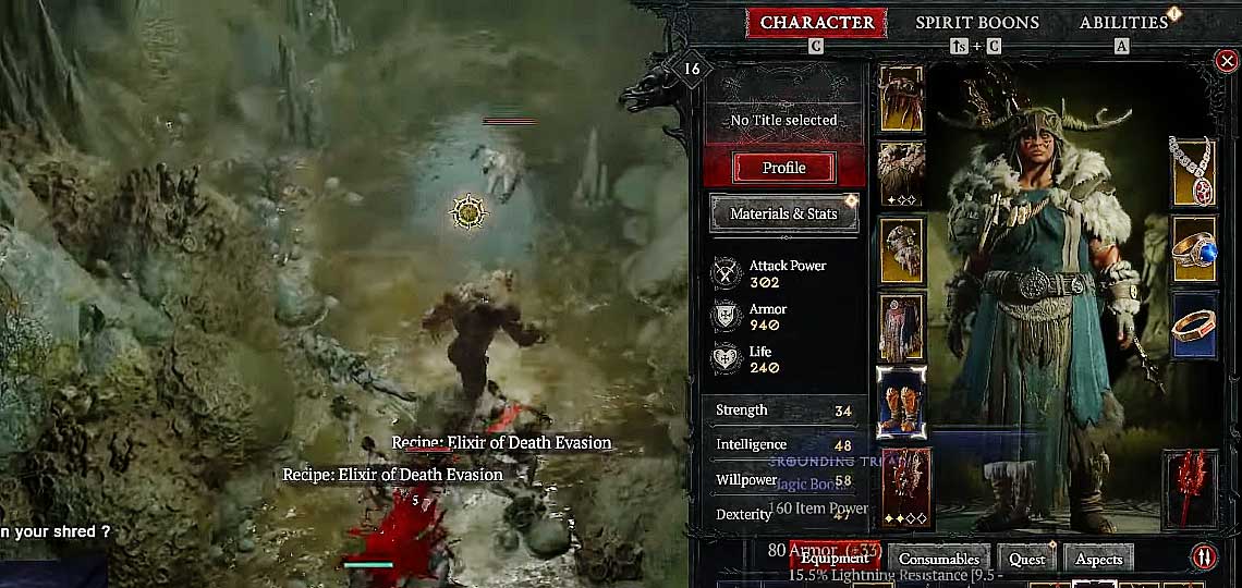 d4 personnage druide