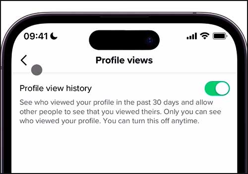 tiktok profile views