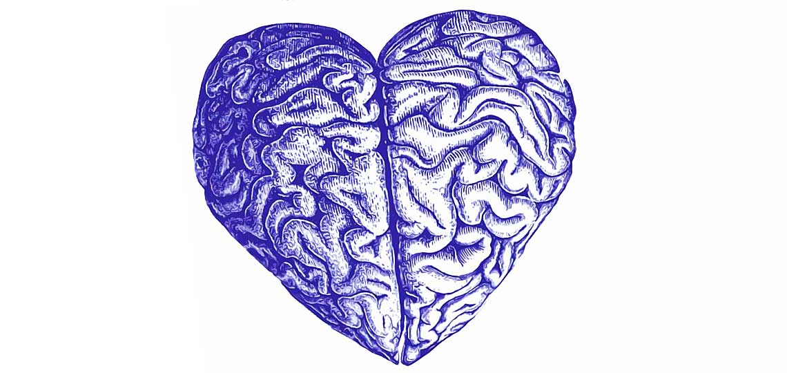 cerveau forme de coeur