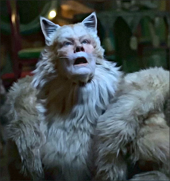cats film